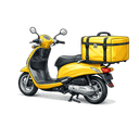 Courier Delivery icon