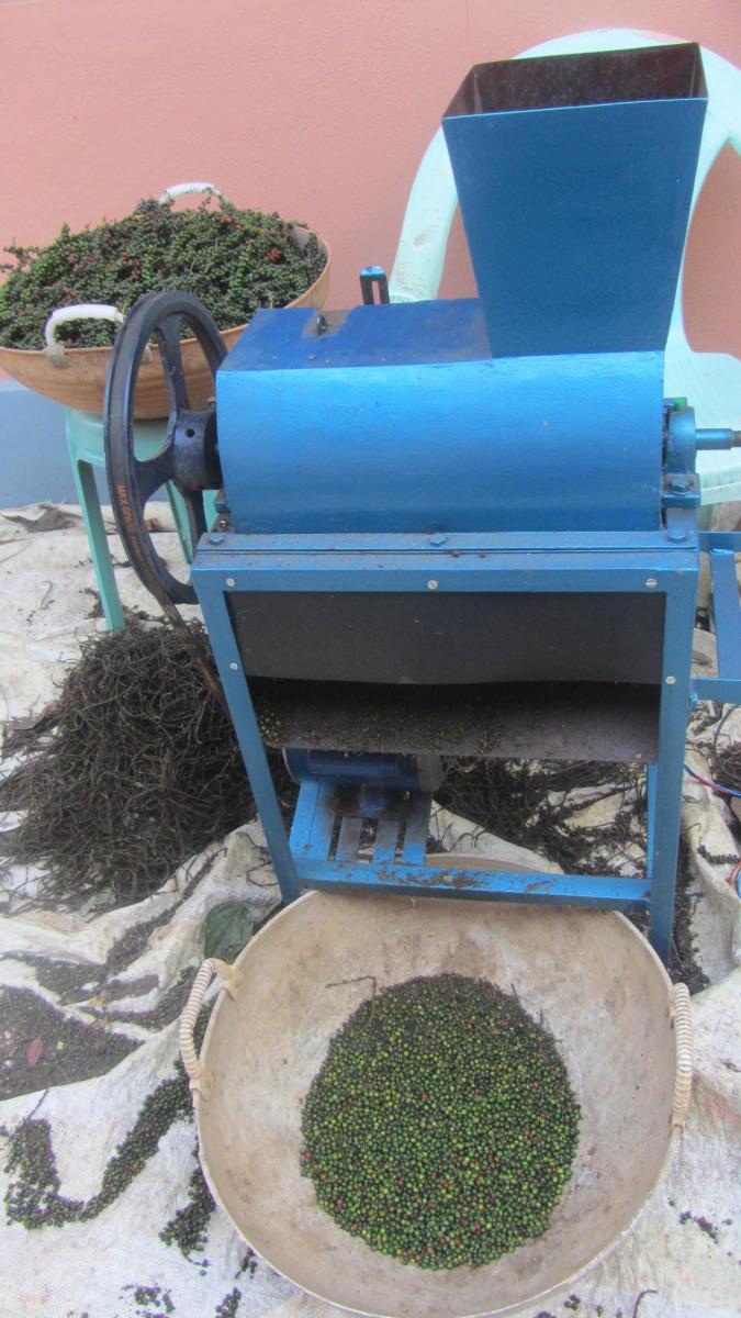 Pepper Threshing Machine