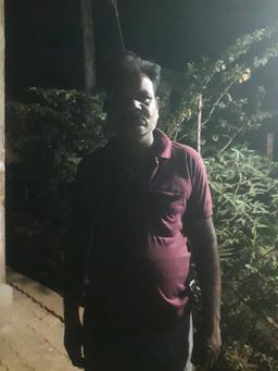 Anada Bovi