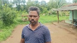 Krishna Jogi