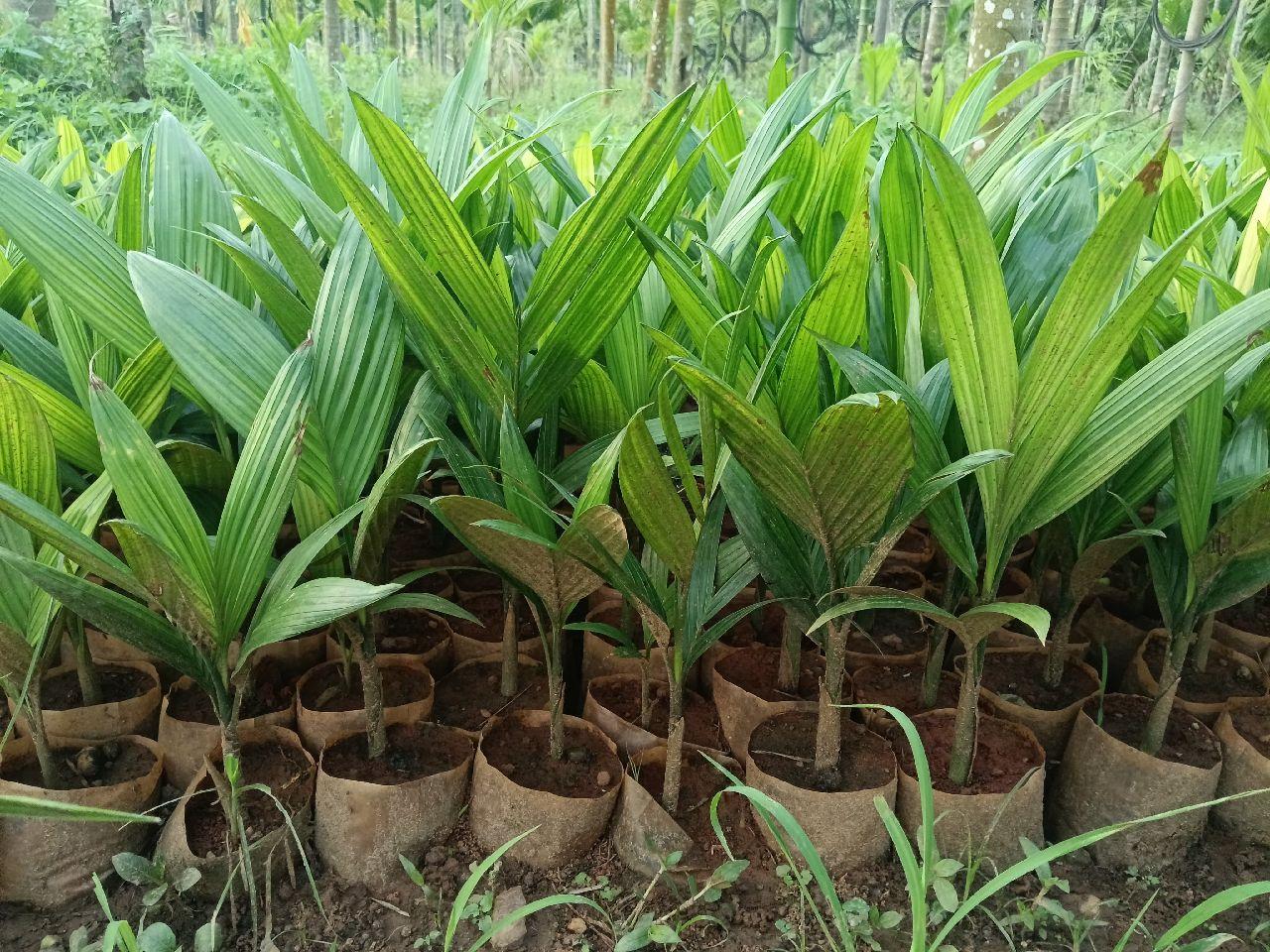 Agriculture Services image 1