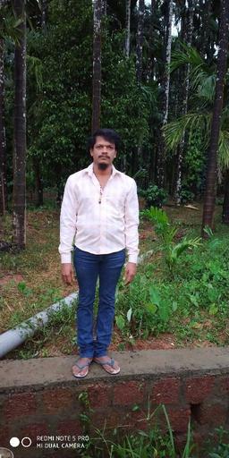 Krishna Marthi