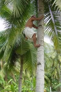 Sudhakar P Gouda