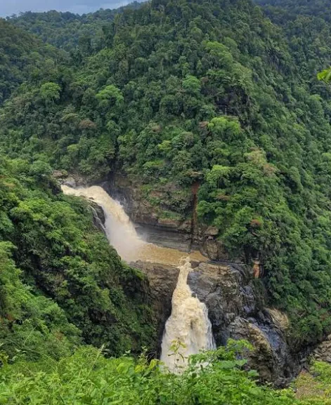 Waterfall surrounded by forest